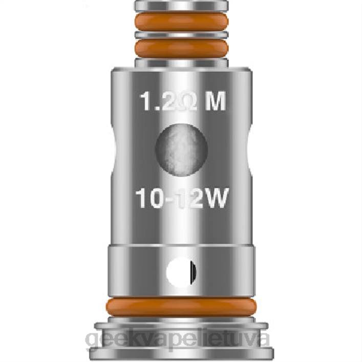 Geek Vape Kaina - GeekVape 5 vnt./pak. g serijos ritė g1,0 omų 2Z4D23