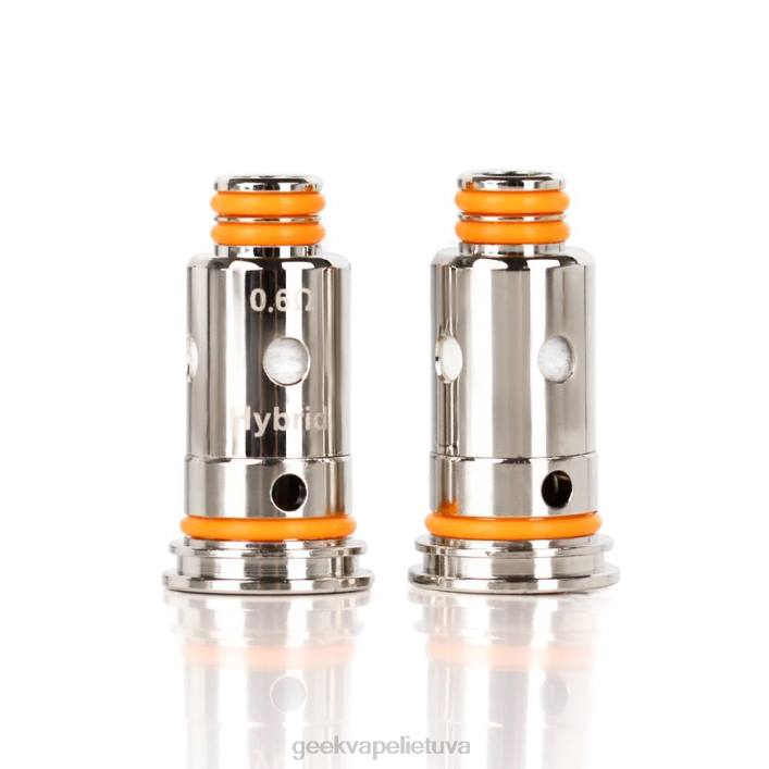 Geek Vape Kaina - GeekVape 5 vnt./pak. g serijos ritė g1,0 omų 2Z4D23
