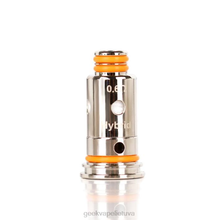 Geek Vape Kaina - GeekVape 5 vnt./pak. g serijos ritė g1,0 omų 2Z4D23